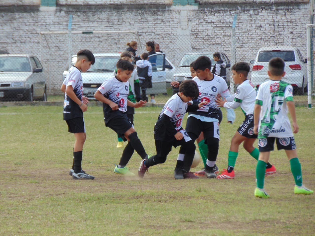 Imagen 1